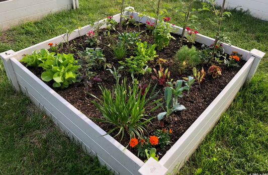 1 Square Foot Plot